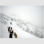 Expediční závod psích spřežení - Ledová jízda