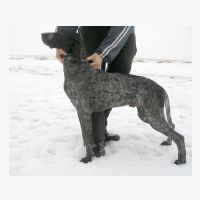 _2020072-Tobi.jpg
