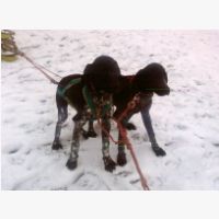 _4-Katka-Foto-0044.jpg